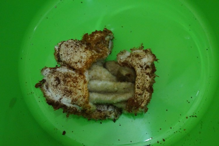 Кукольная лечебница. Новые куколки выписаны - они полностью здоровы