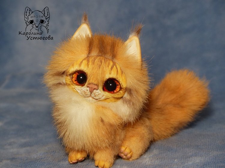 Карманный котеночек породы: Мейн-Кун (фото 5)