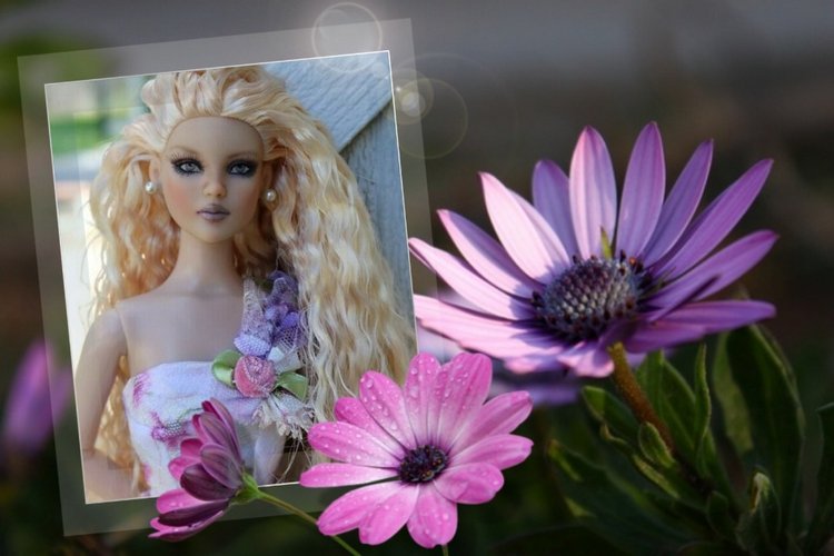 Мои Тоннерки. Фотозарисовки