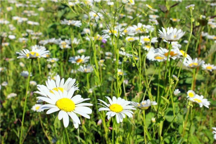 Путешествие Эли на красивый берег реки Волги