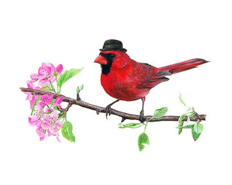 Birdswithhats - Авторские зарисовки "Птицы в шляпах" by Matt Decker (фото 4)