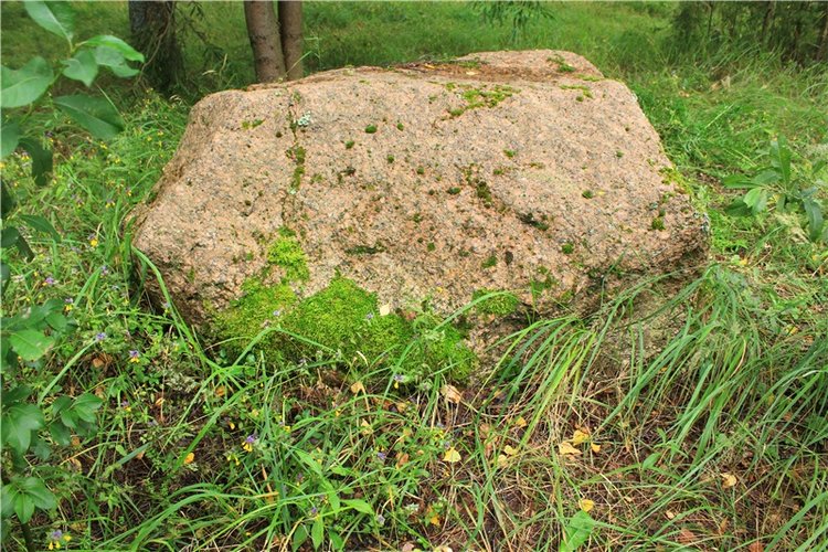 Августовское путешествие в "Сад Камней" | Бэйбики Августовское путешествие в "Сад Камней"