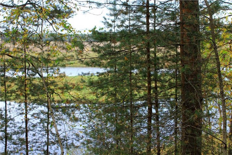 Путешествие Имани на Волгу, продолжение. Mini Imani от Kaye Wiggs