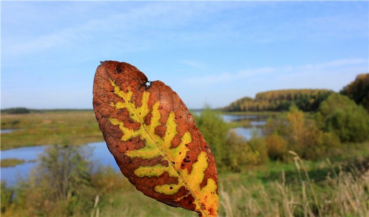 Путешествие Имани на Волгу, продолжение. Mini Imani от Kaye Wiggs