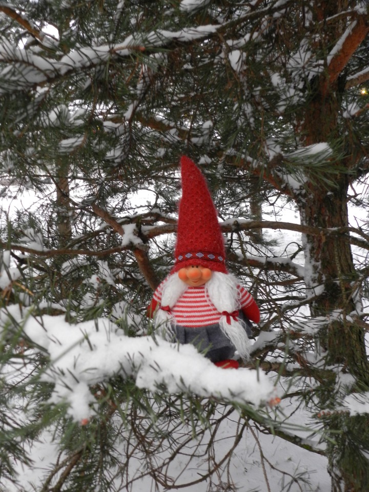 Наши зимние прогулки. Сабрина от Zawieruszynski