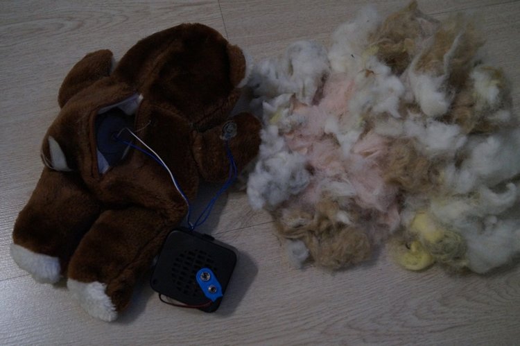 Пятая январская выписка из кукольной лечебницы