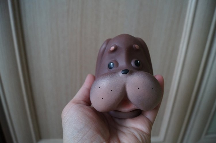 Февральское пополнение будущих пациентов кукольной лечебницы