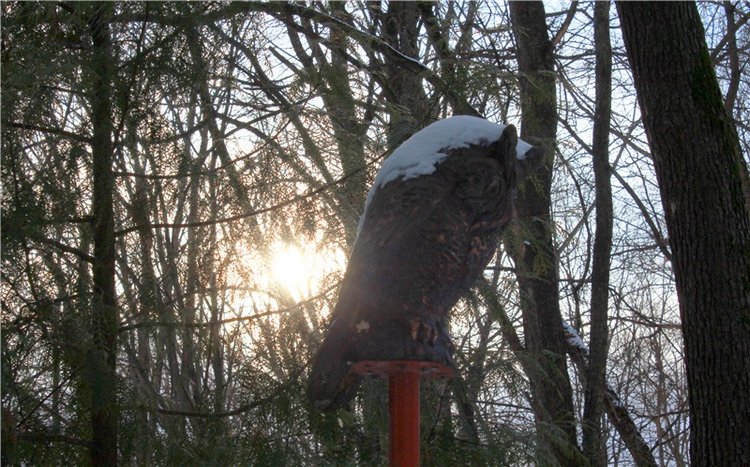 Тверской Ботанический Сад, заключительная часть