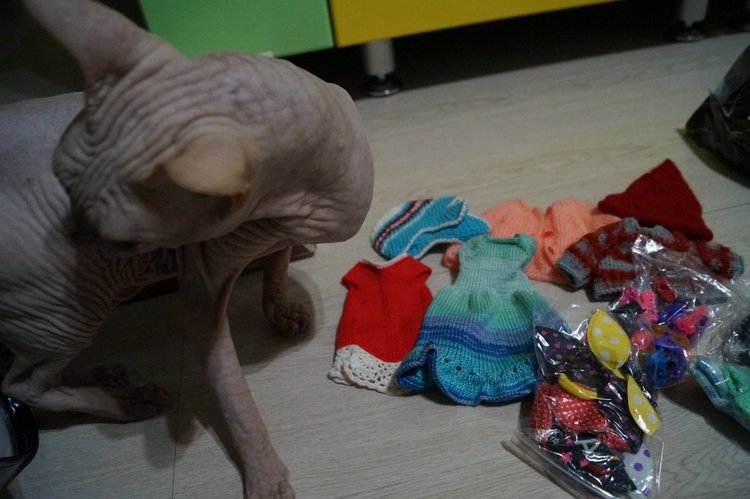 Открываем третью посылку — Интересные игрушки и фигурки (разное): редкие (фото 5)