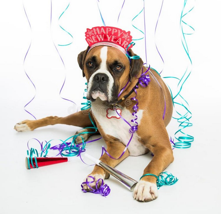 С Новым 2018 годом — Болталка и разговоры обо всем: жизнь (фото 4)