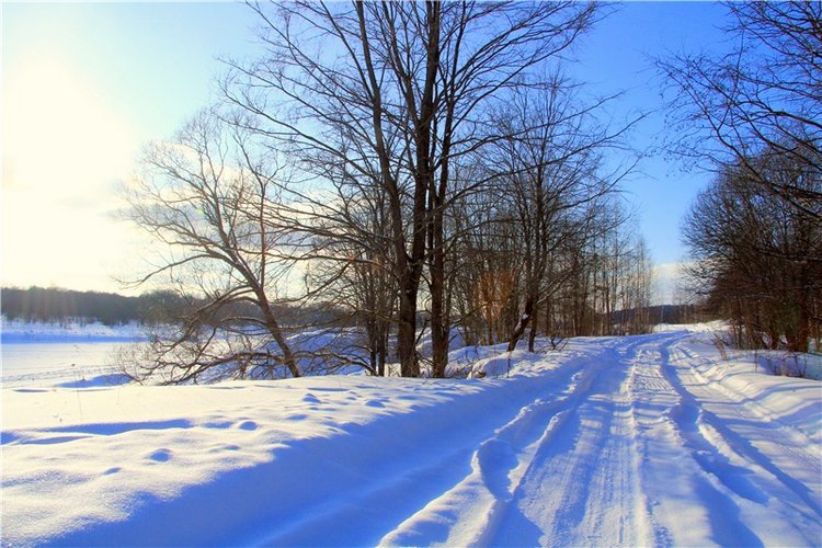 Зимняя прогулка Сони. Уникальная кукла от Сильвии Наттерер