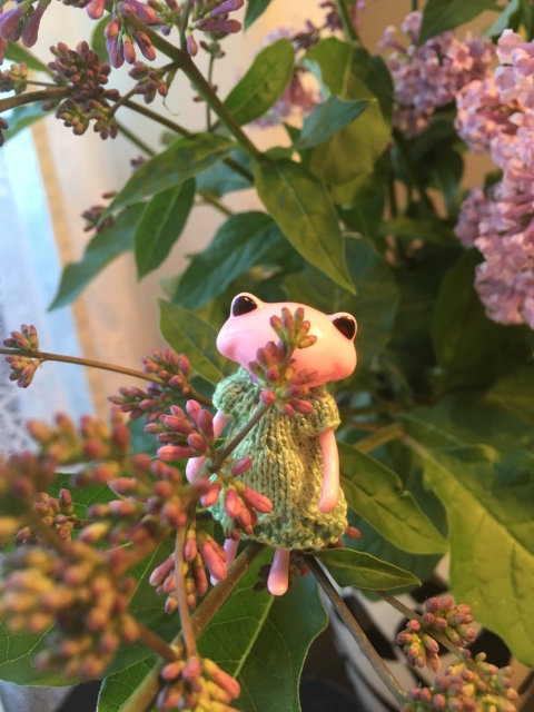 Wonder frog - Tasha Apple от компании Studio uoo (фото 4)