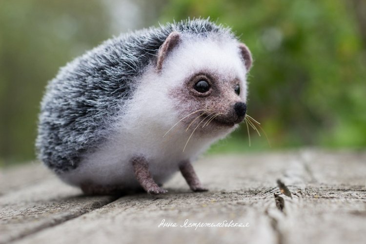 Ёжинька — Валяные игрушки из шерсти: сухое валяние (фото 5)