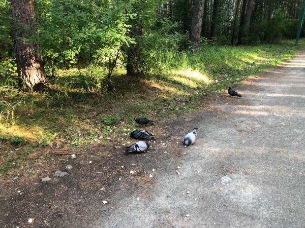 Амели - minifee RFA — Куклы Fairyland (ФэйриЛэнд): BJD (БЖД)