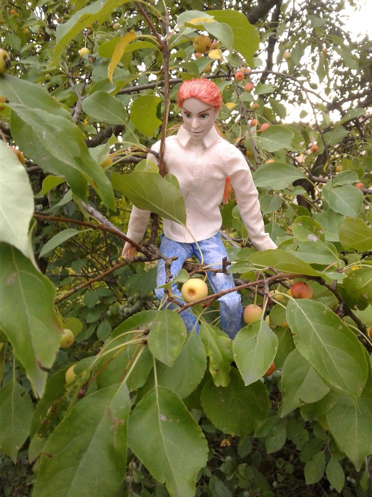 Кто же там, в малиннике — Куклы и тела Obitsu (Обитсу): 1/6