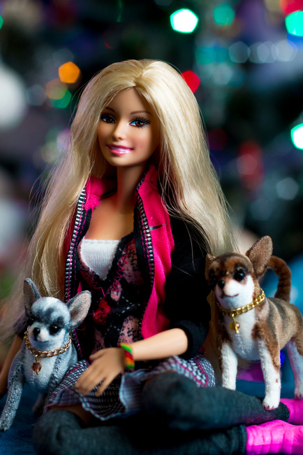 Моя Барбимания, или частичное знакомство с новенькими. Mattel (фото 3)