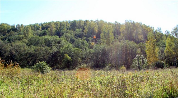 Старицкая Швейцария. Старицкие пещеры, д. Толпино, заключительная часть (фото 8)