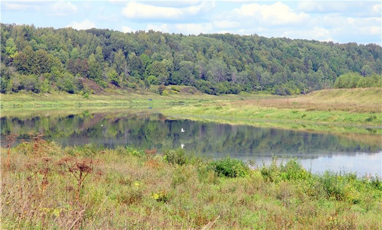 Старицкая Швейцария. Путешествие с Сашей, продолжение. Уникальная кукла от Сильвии Наттерер