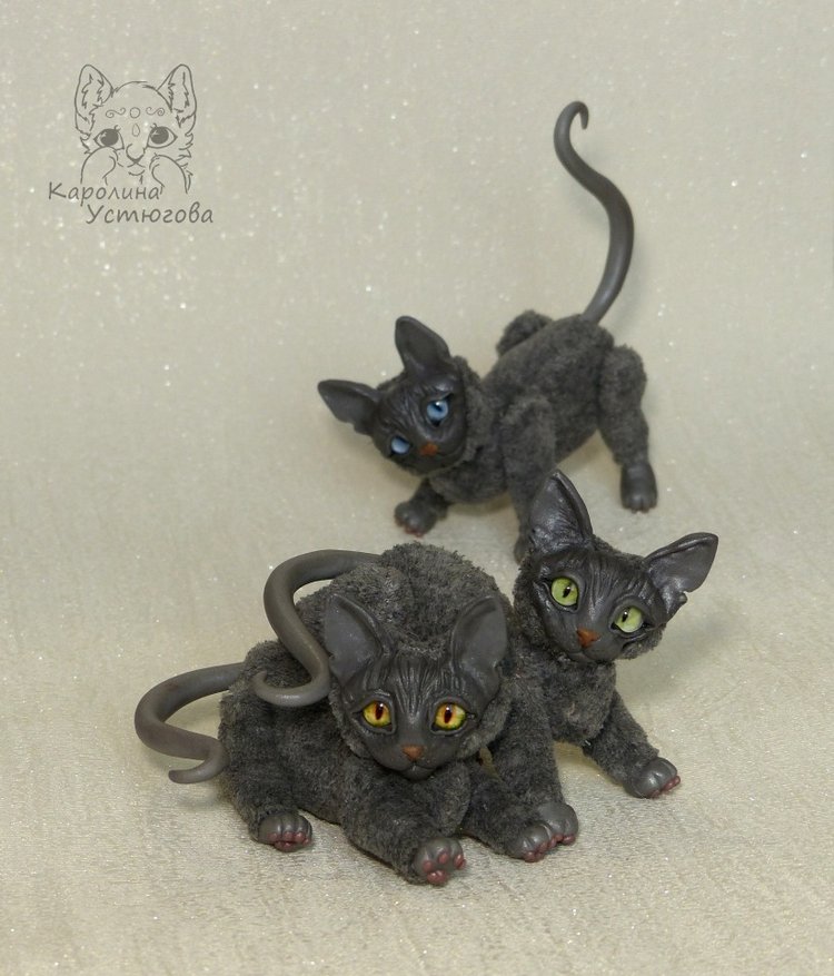 Миниатюрные серые Сфинксы (фото 5)