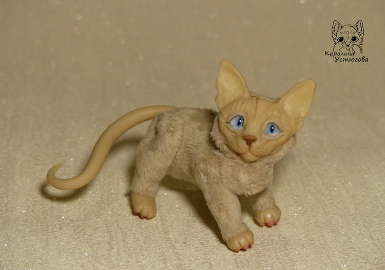 Два миниатюрных котика Сфинкса (фото 9)