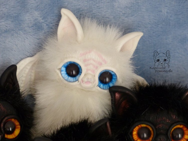 Большая семья летучих мышек (фото 7)