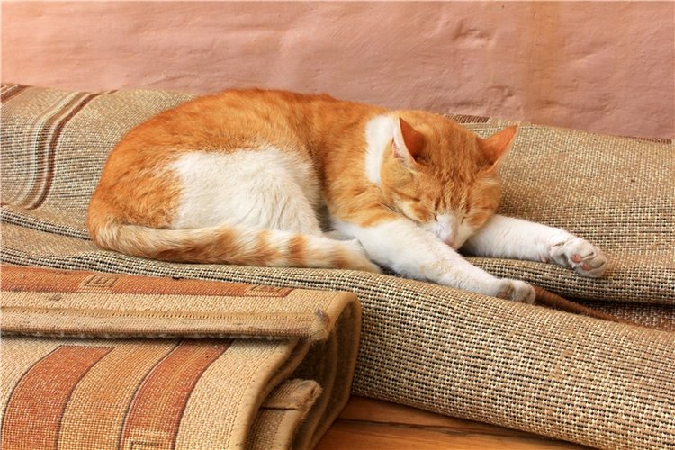 Накануне Светлого Праздника Пасхи. Старица, Свято-Успенский монастырь (фото 6)