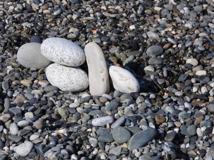 Сочи-Адлер: Южное Взморье - Красоты Черного Моря