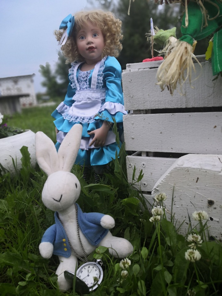 Моя прекрасная Бельфиоре, дома Бэллочка (фото 5)