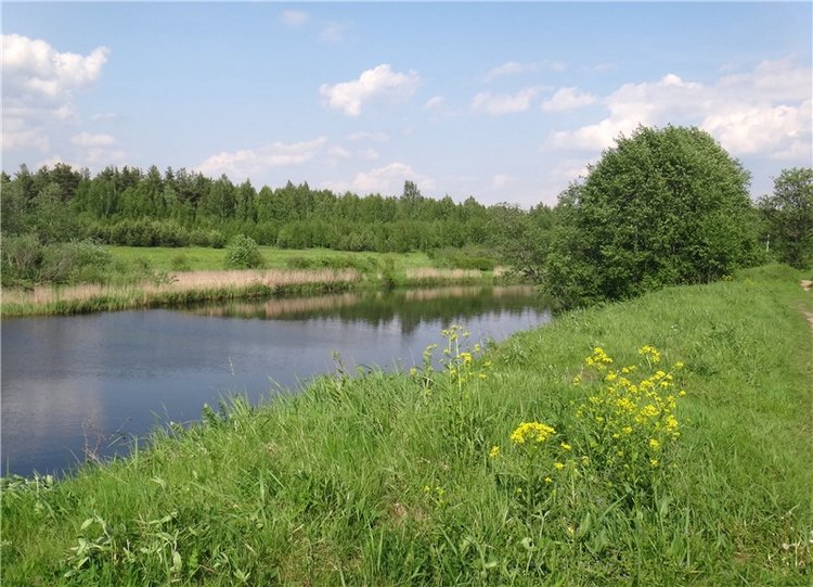 Ландышевая Сказка — Куклы Heidi Plusczok (Хайди/Хейди Плюсчок) — фото (фото 8)