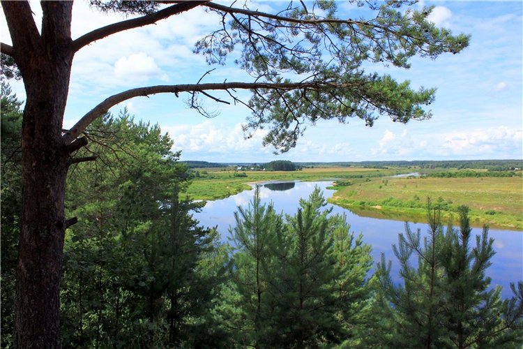 Летнее путешествие с Бенни | Бэйбики Летнее путешествие с Бенни (фото 5)