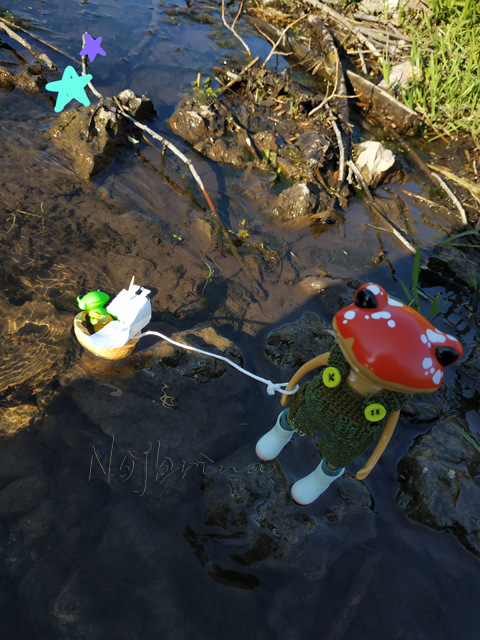 Wonderfrog. Красота в простоте (фото 5)