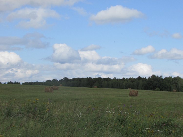 Путешествие в Нижегородскую область - часть 1 - Дивеево (Дивеевский монастырь) (фото 10)