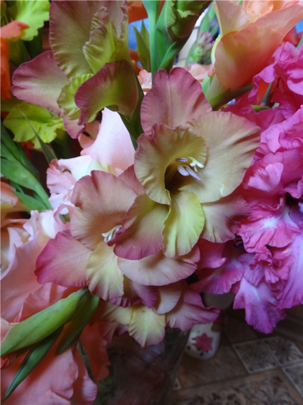 Как мы делали лечо или куклы на кухне