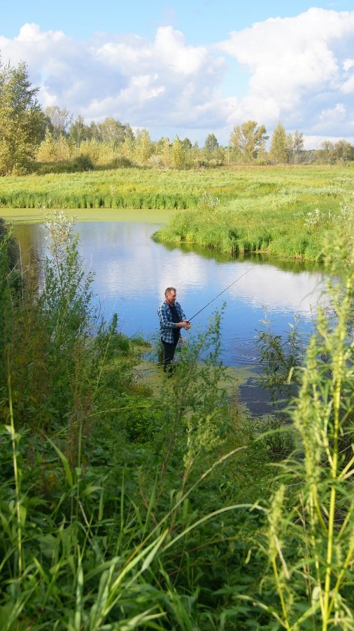 Лето - это маленькая жизнь (фото 3)