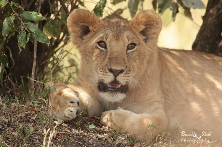 Любителям природы - профессиональные фотографии (выпуск 4)