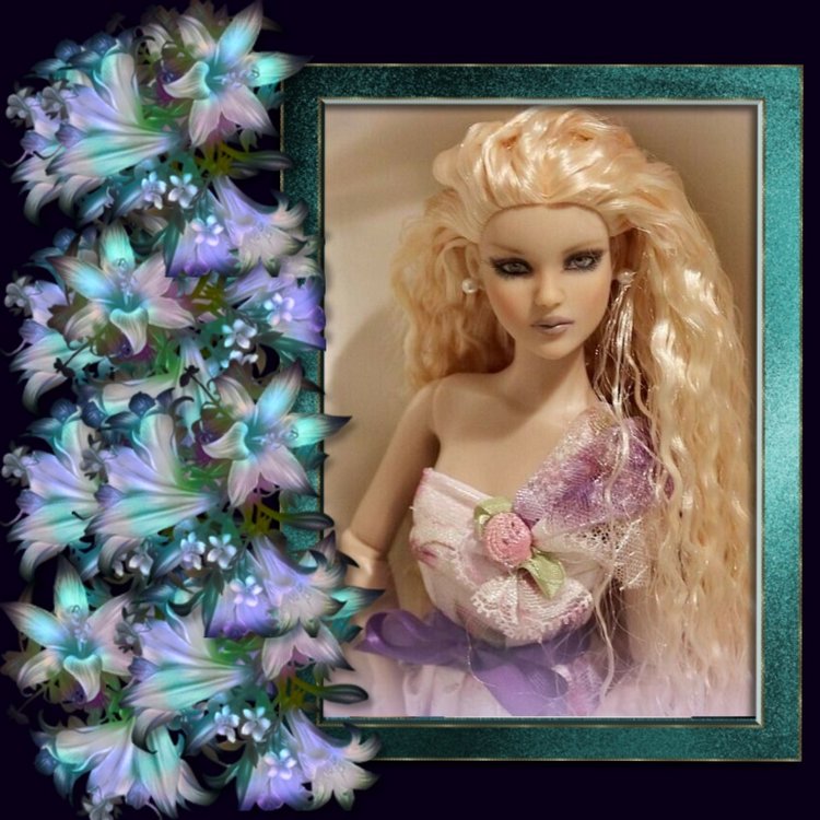 Мои Тоннерки. Фотозарисовки