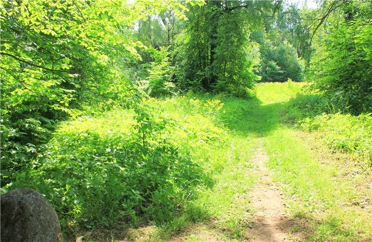 "Троицкие гуляния" в Василёво, 2019 год, заключительная часть. Архитектурно-этнографический музей под открытым небом Василёво