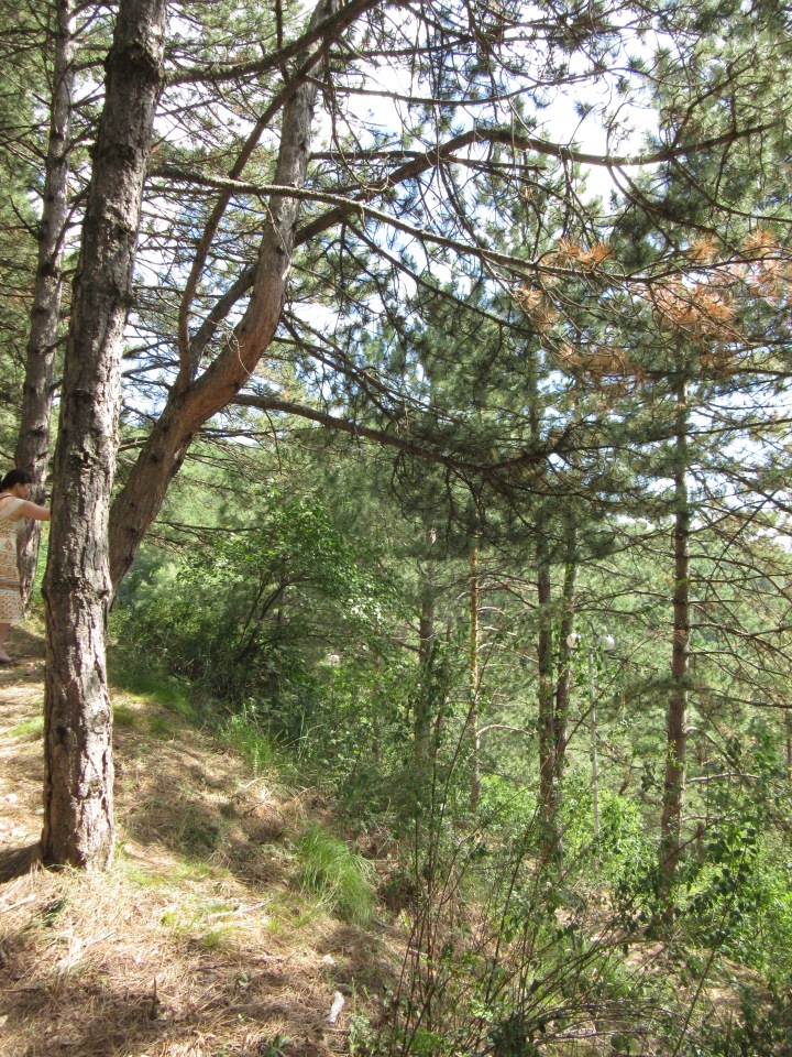 Горячее солнышко Кисловодска