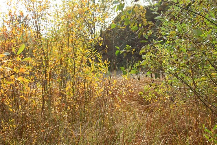 "Бабье Лето" на Водопаде, продолжение