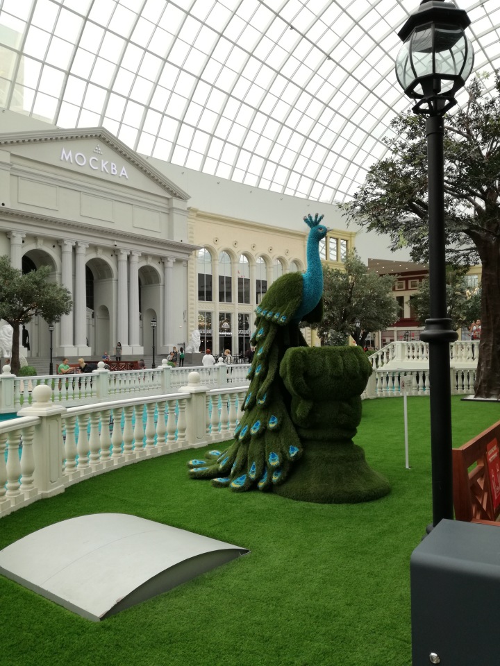 Знакомьтесь, новый вид медведей - медведь сумочный