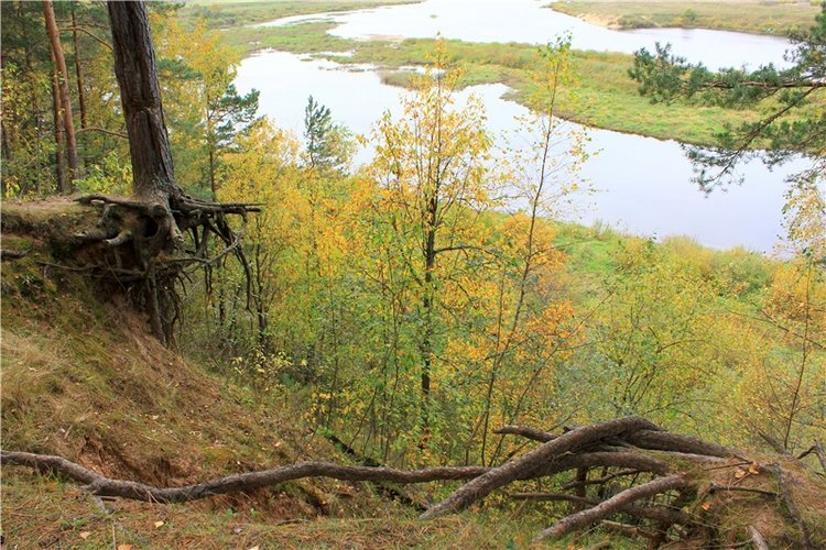 Путешествие Имани на Волгу, продолжение. Mini Imani от Kaye Wiggs