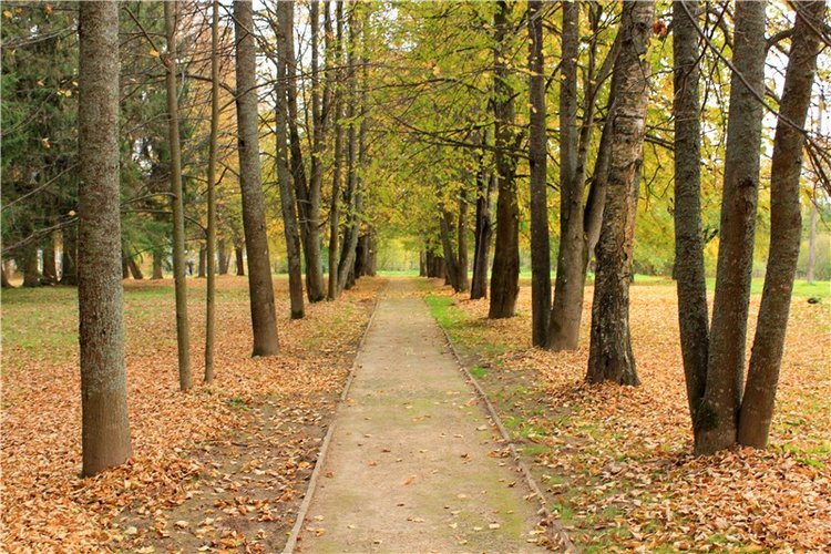 Золотая Осень в Берново с Имани. Mini Imani от Kaye Wiggs