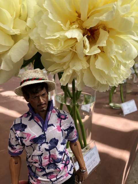 Тони Старк: приключения без брони. И снова Аптекарский огород | Бэйбики Тони Старк: приключения без брони. И снова Аптекарский огород