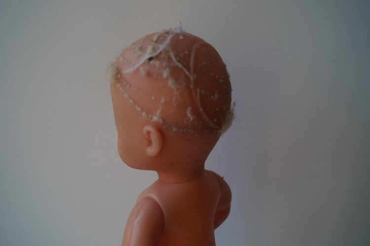 Четвёртая июльская выписка. Поломка шеи Энчантималс. Новые реснички двум пациентам. Как обуздать непослушные волосы