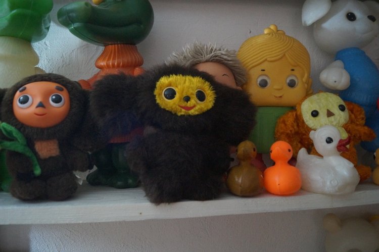 Первая октябрьская выписка. Воссоединение головы и тела. Парикмахерские услуги. Базирон+солнце