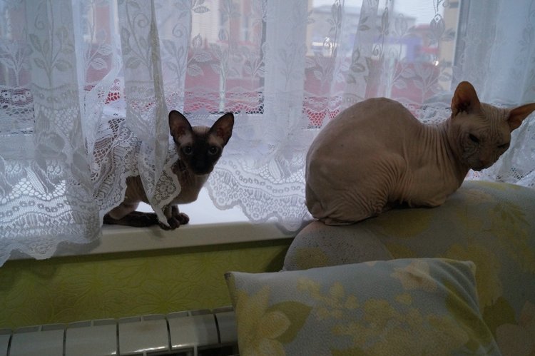 Вторая выписка декабря. Главная героиня нового года поправила своё здоровье. Лечим покусанные руки Барби, удаляем жир с