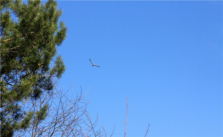 Апрельский день в Василёво, третья часть