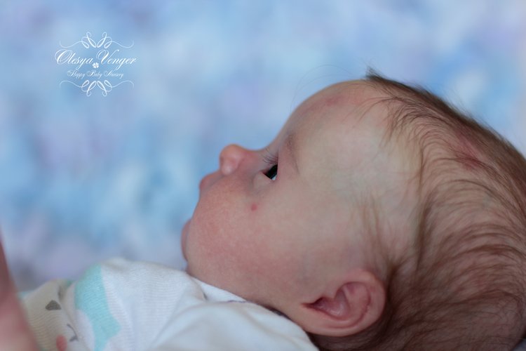 Тинк, мой любимый птенчик. Кукла реборн Венгер Олеси