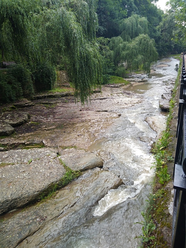 Возвращение Хелены в Кисловодск: опять за своё (фото 4)