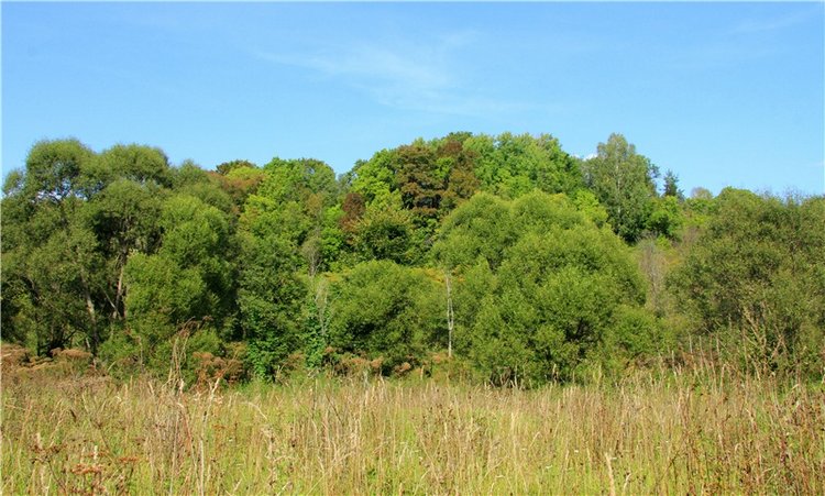 Старицкая Швейцария. Путешествие с Сашей, продолжение. Уникальная кукла от Сильвии Наттерер